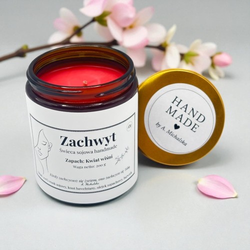 Zachwyt1.jpg